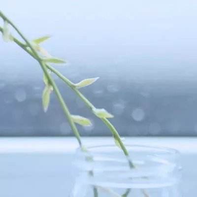 安博体育手机app下载